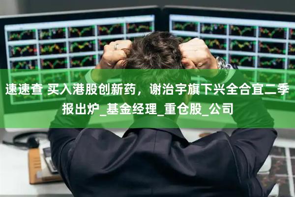 速速查 买入港股创新药，谢治宇旗下兴全合宜二季报出炉_基金经理_重仓股_公司