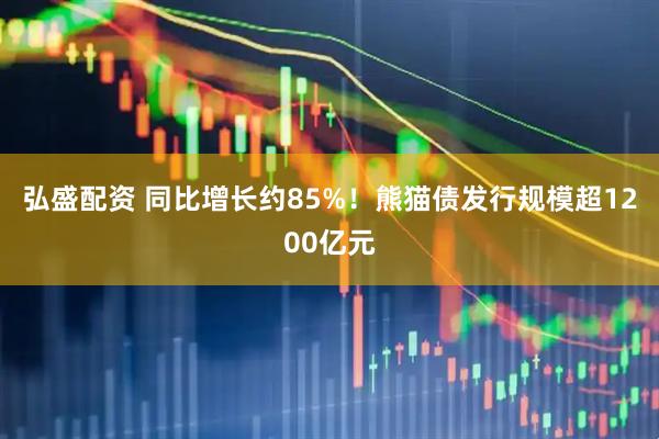 弘盛配资 同比增长约85%！熊猫债发行规模超1200亿元